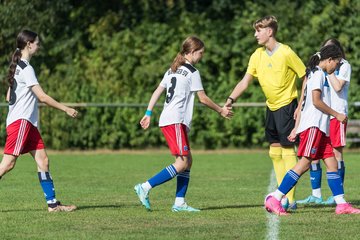 Bild 30 - wBJ VfL Pinneberg - Hamburger SV 2 : Ergebnis: 1:3